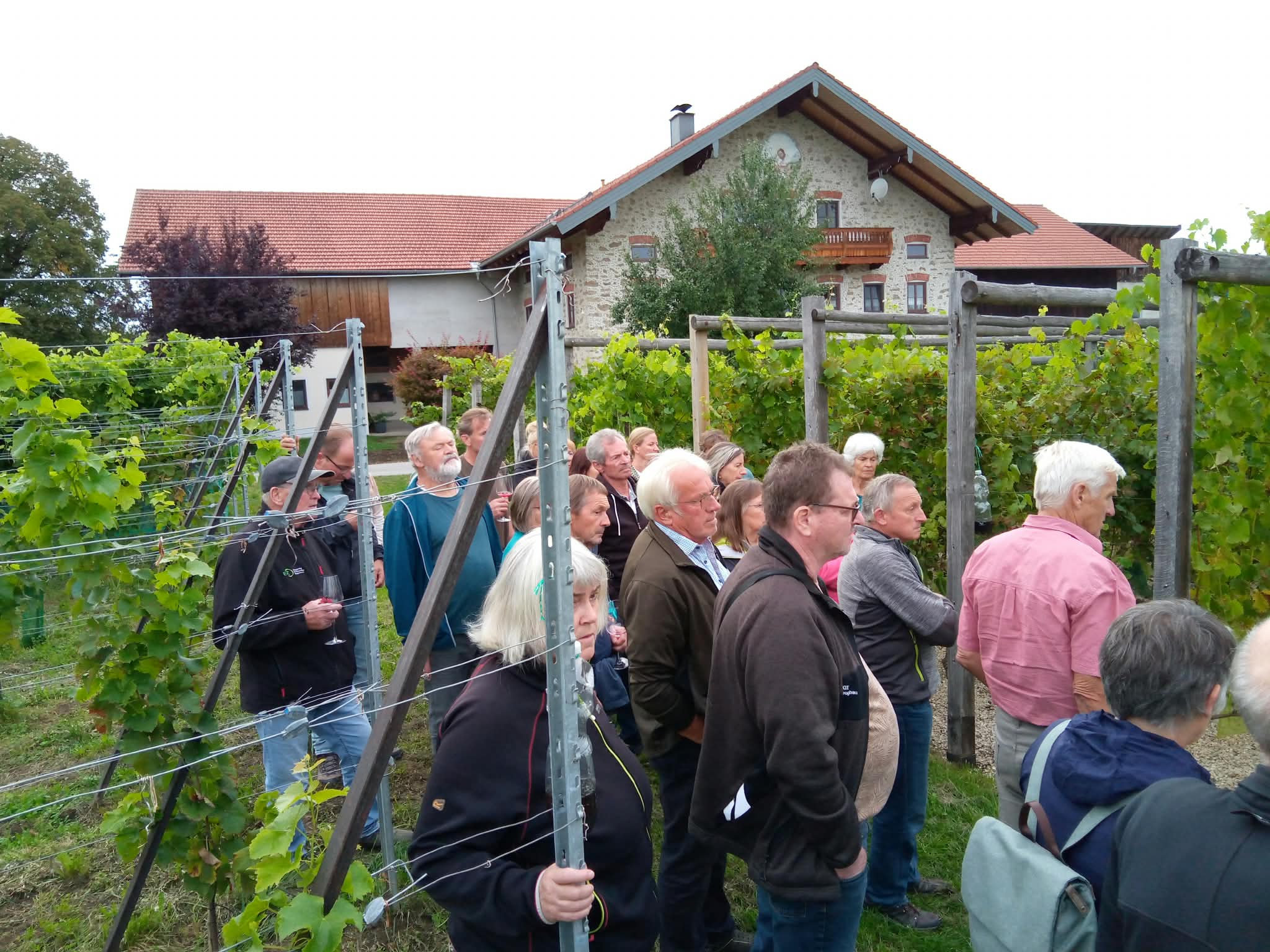 Weingut